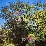 Sweett - Park Mediterranean