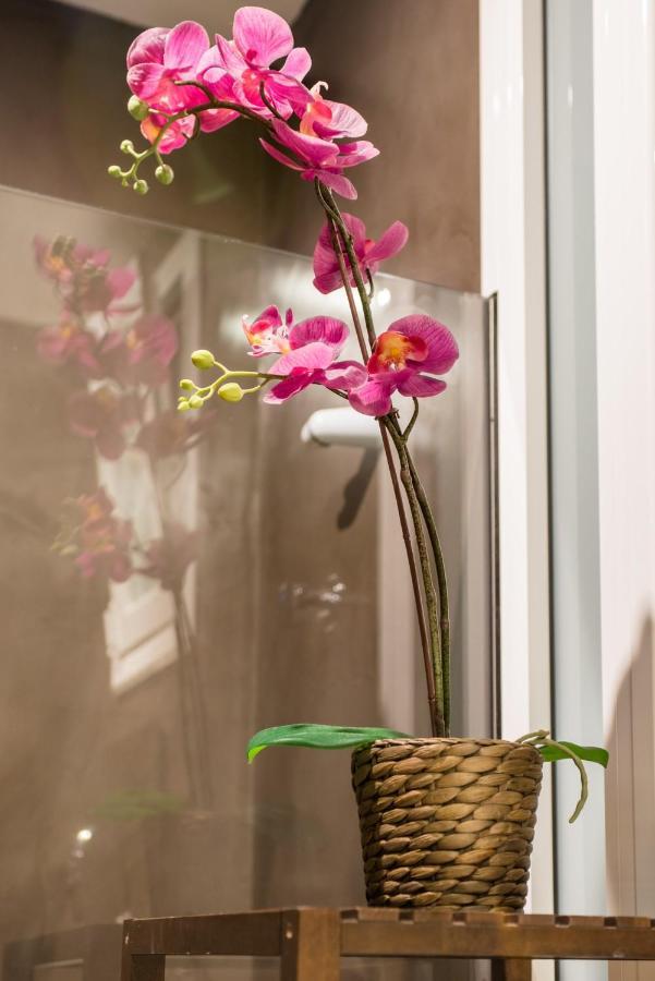 Appartement Art Nouveau