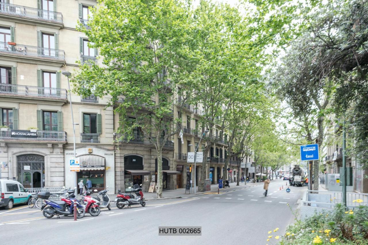 Alcam Pau Claris Apartment *