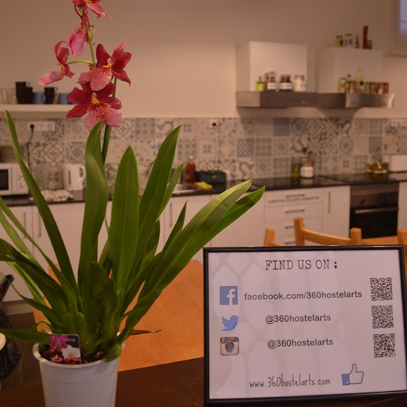 360 Arts&culture Hostel *
