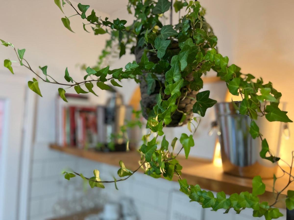 Charming In The Heart Of Appartement