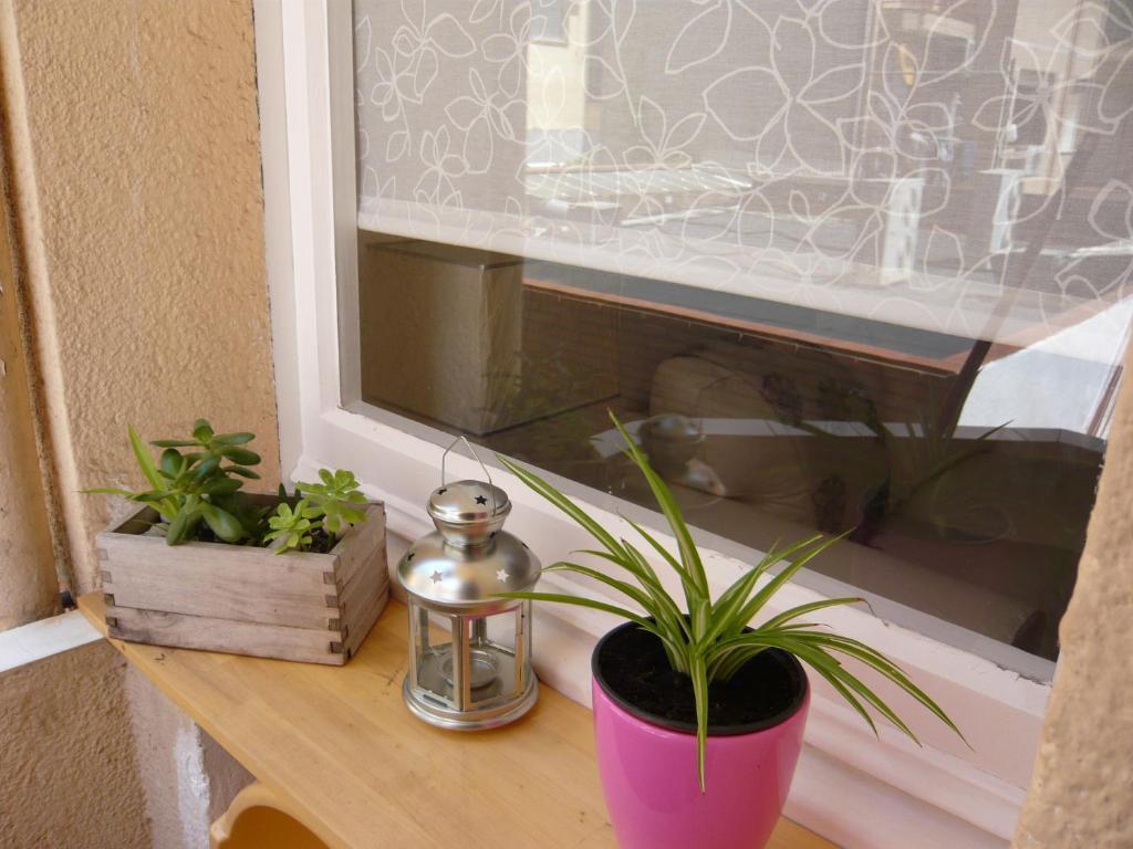 Conde Güell Apartment