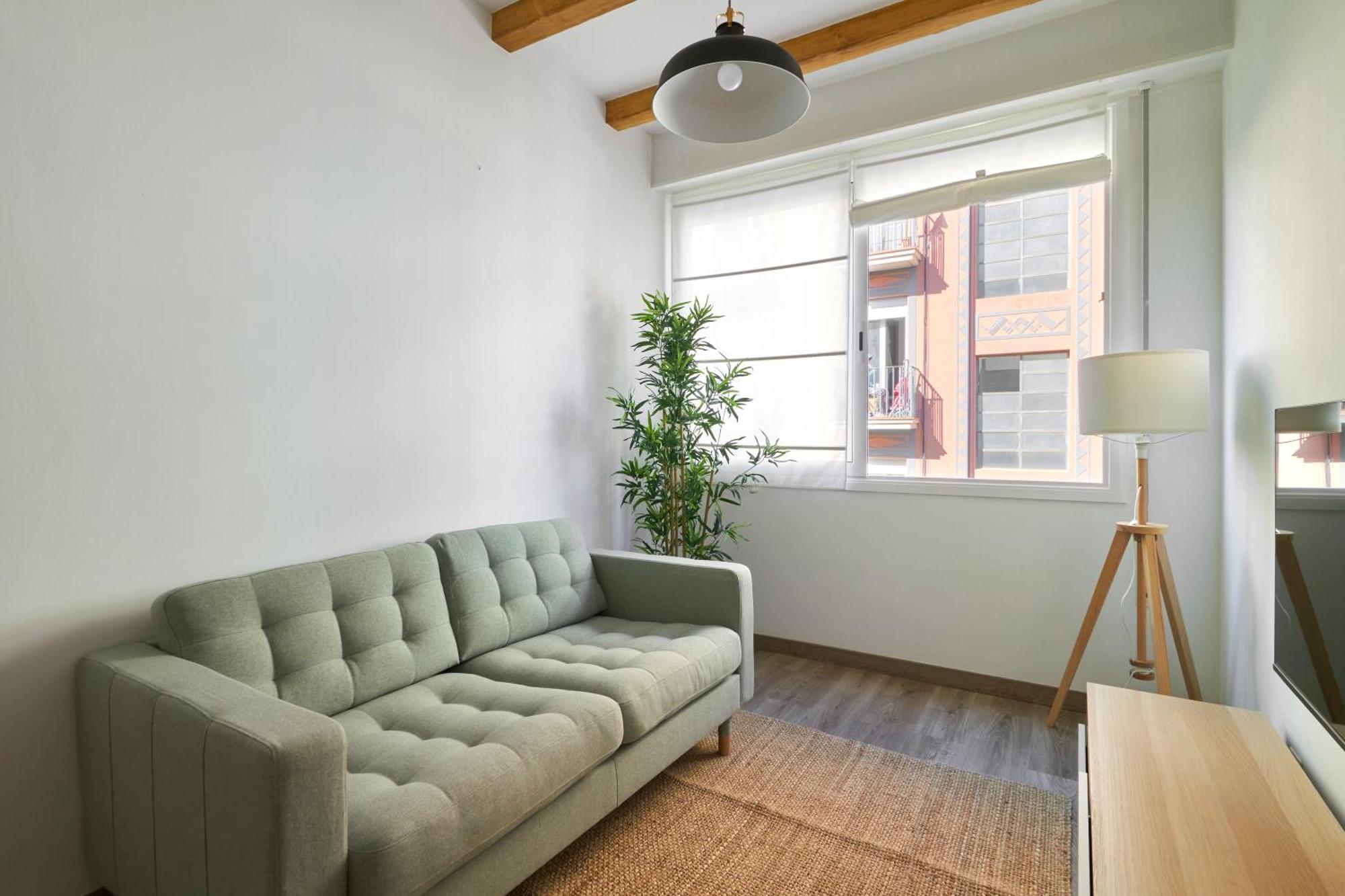 Appartement Ol Cute In Quiet Olivera St