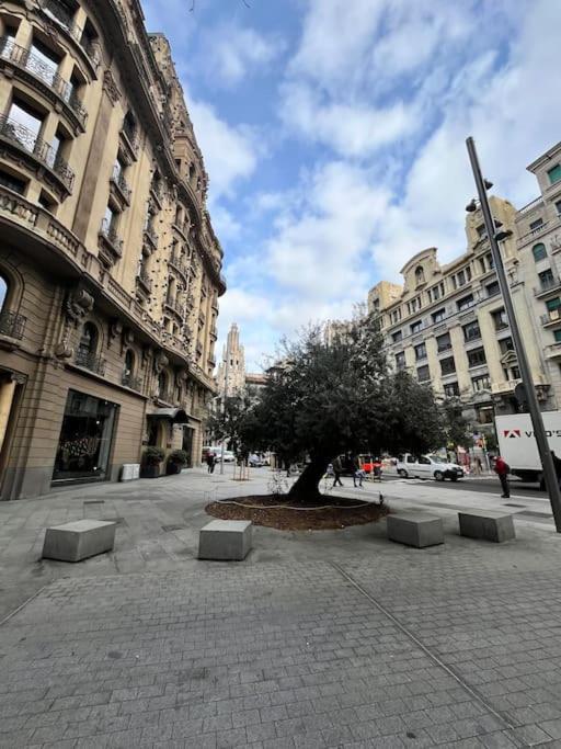 Apartment Acogedor Piso En El Corazon De La Ciudad Con Patio Exclusivo