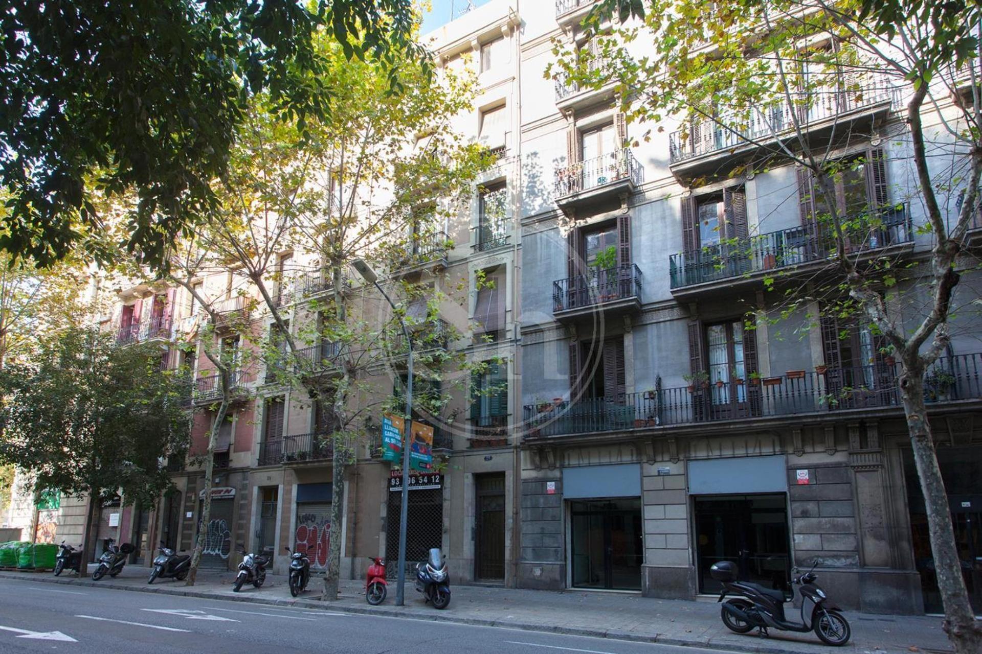 Tranquilo Y Luminoso En El Eixample Barcelona