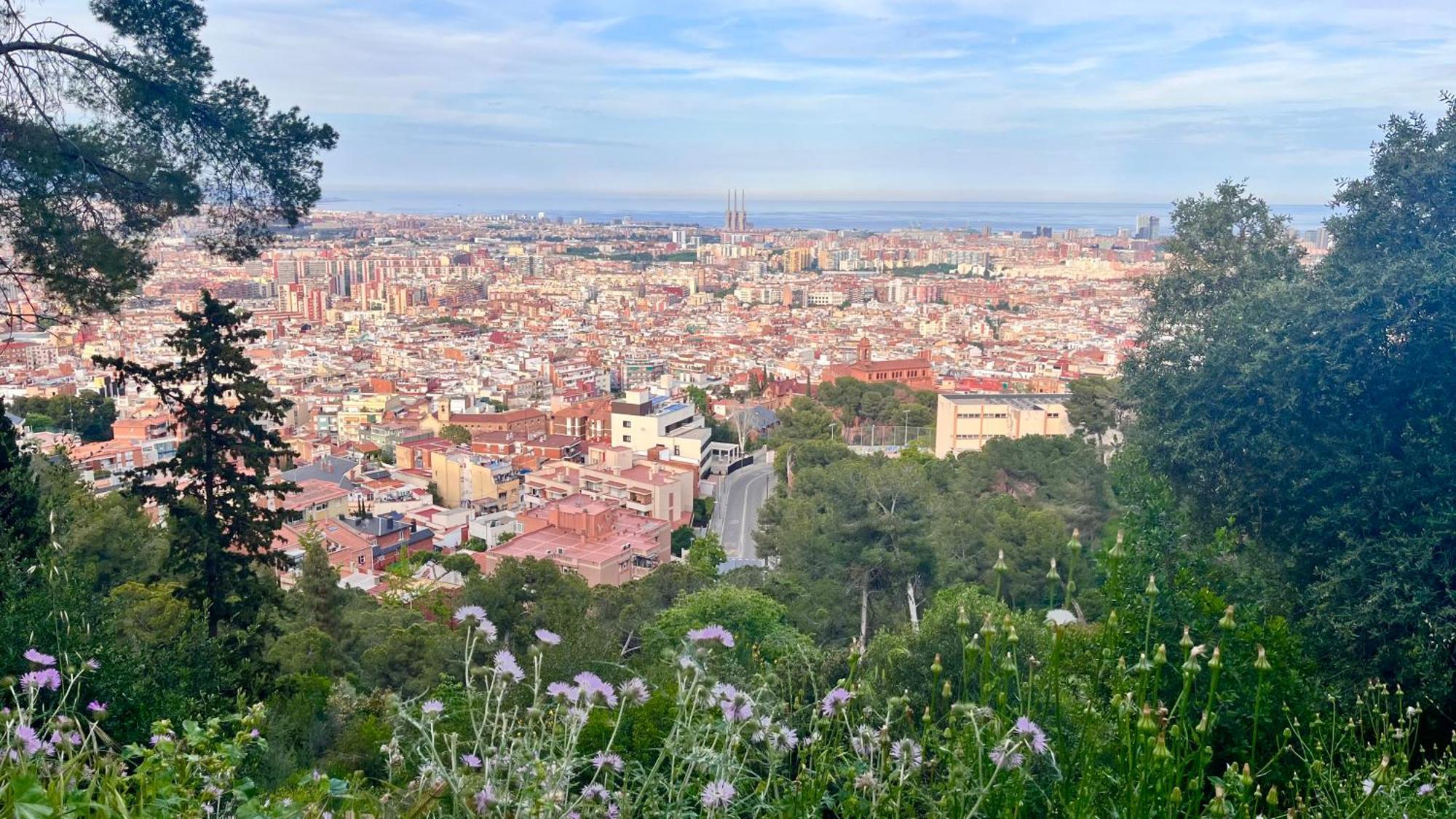 Perfect Place For Nature Lovers Apartamento Barcelona