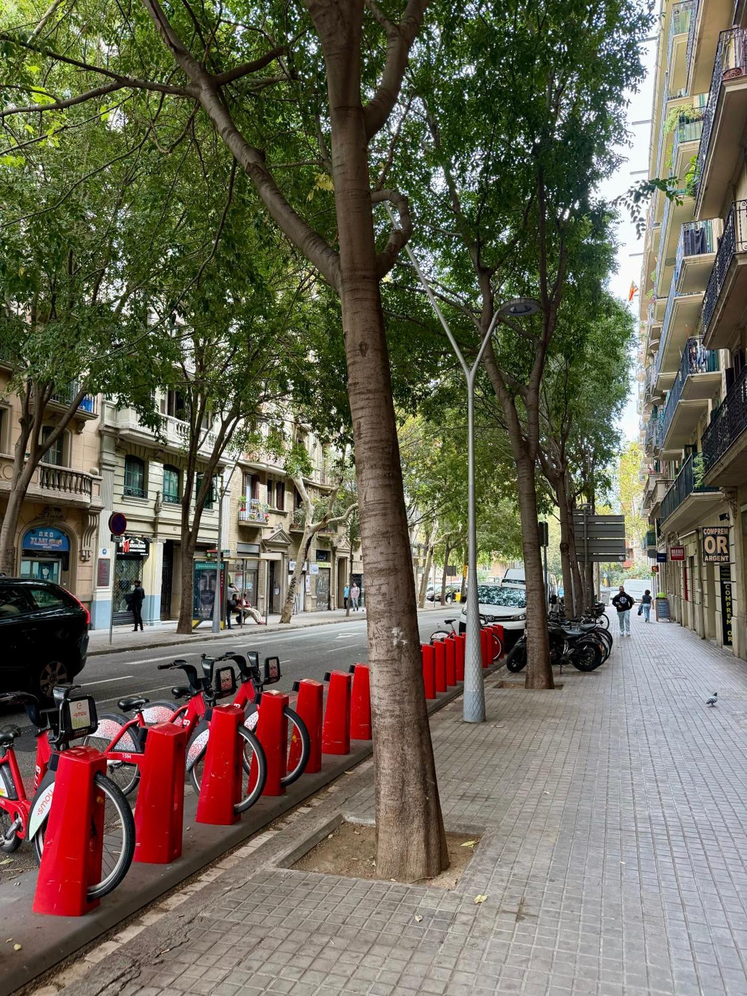 Newly Renovated Stylish Eixample - Great Location Appartement Barcelona