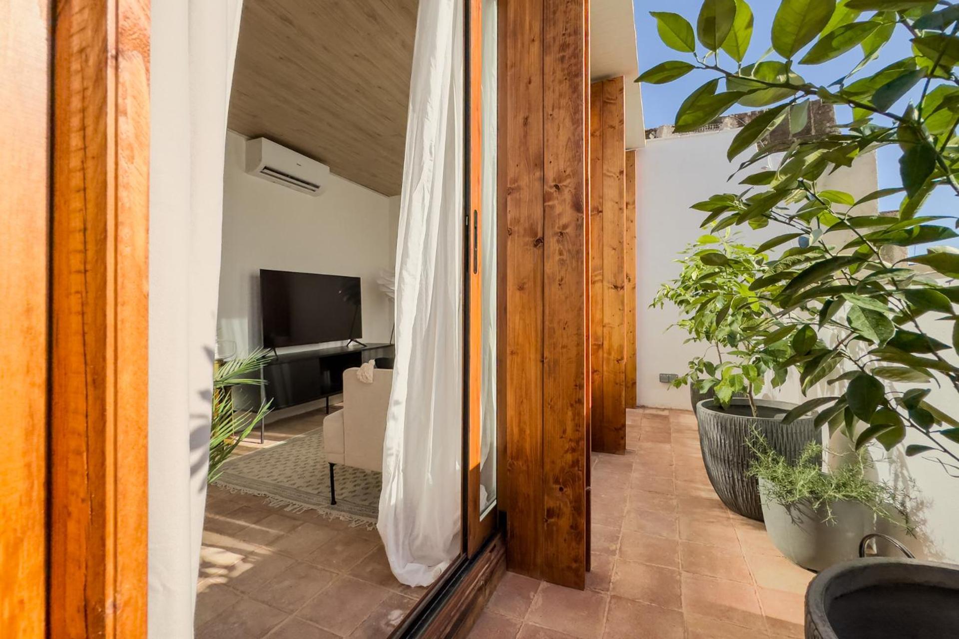 Apartment Oasis & Old Town Center