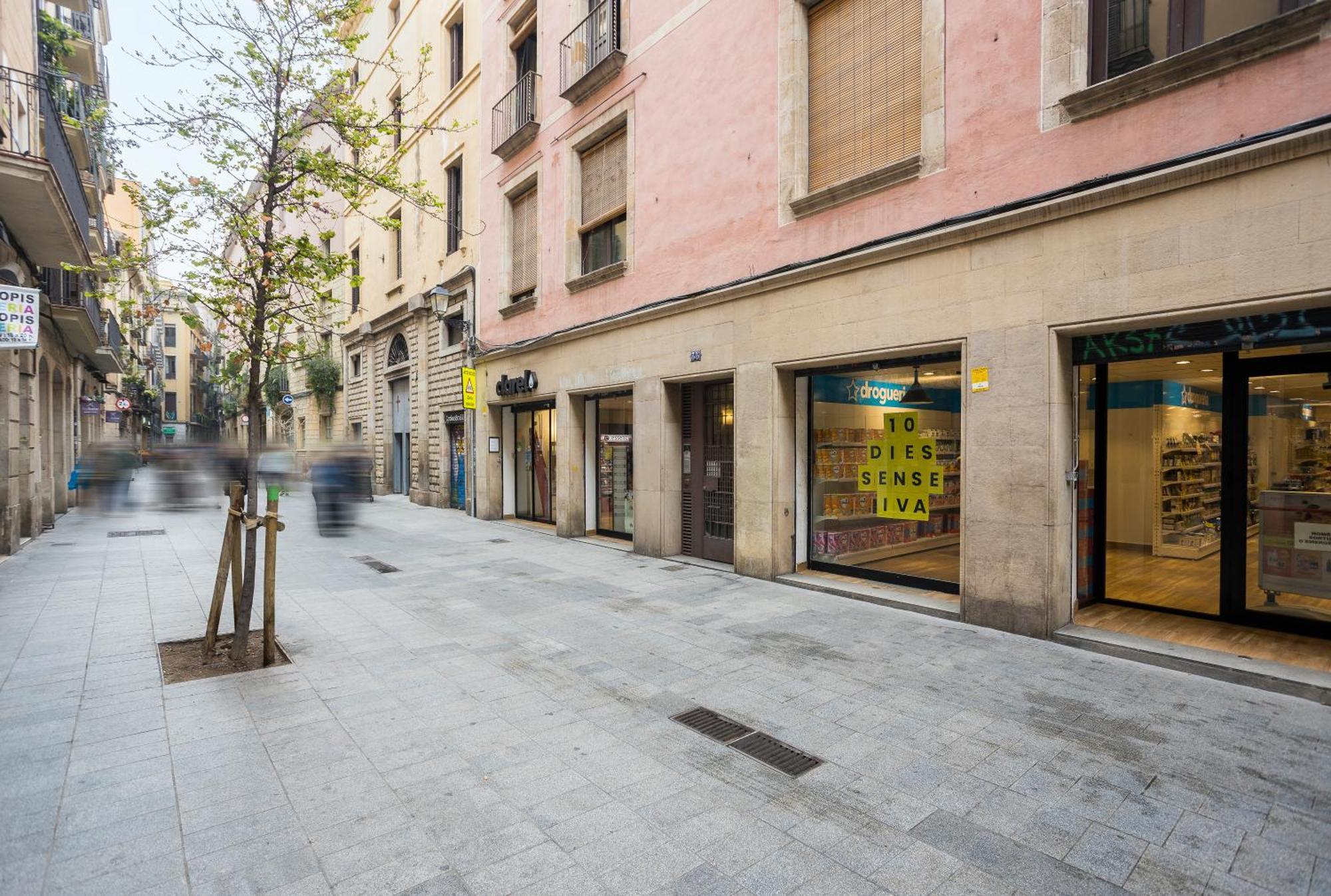 Palau De La Musica 3 Apartment Barcelona
