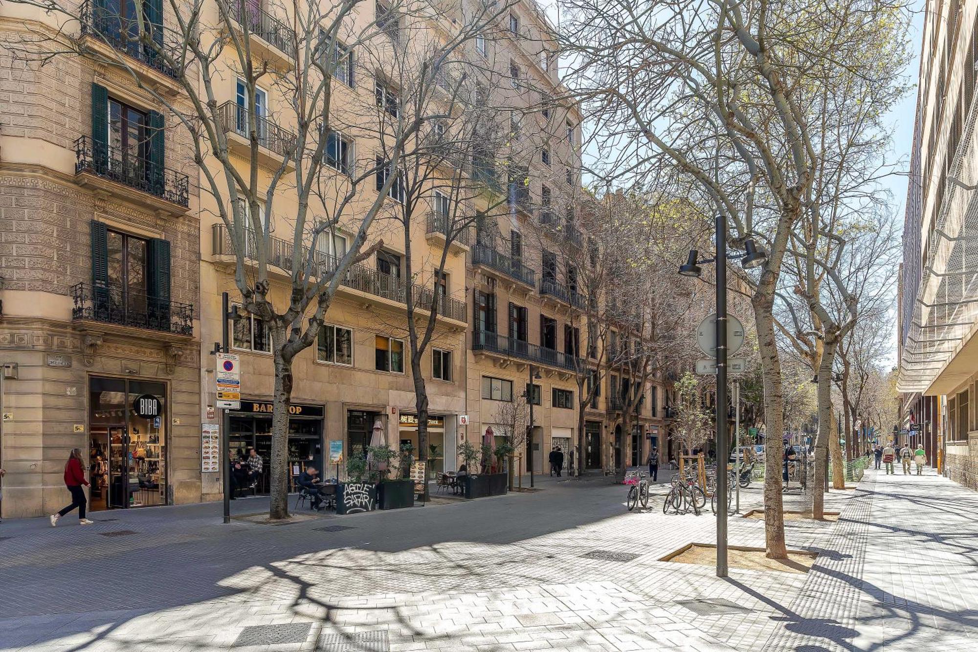Canela Homes Modernista