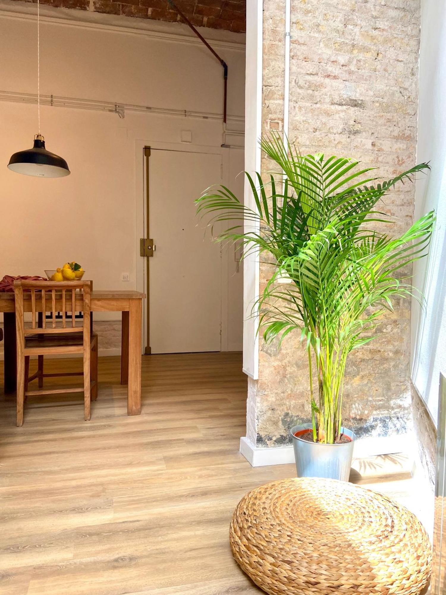Appartement Sagrada Vibes