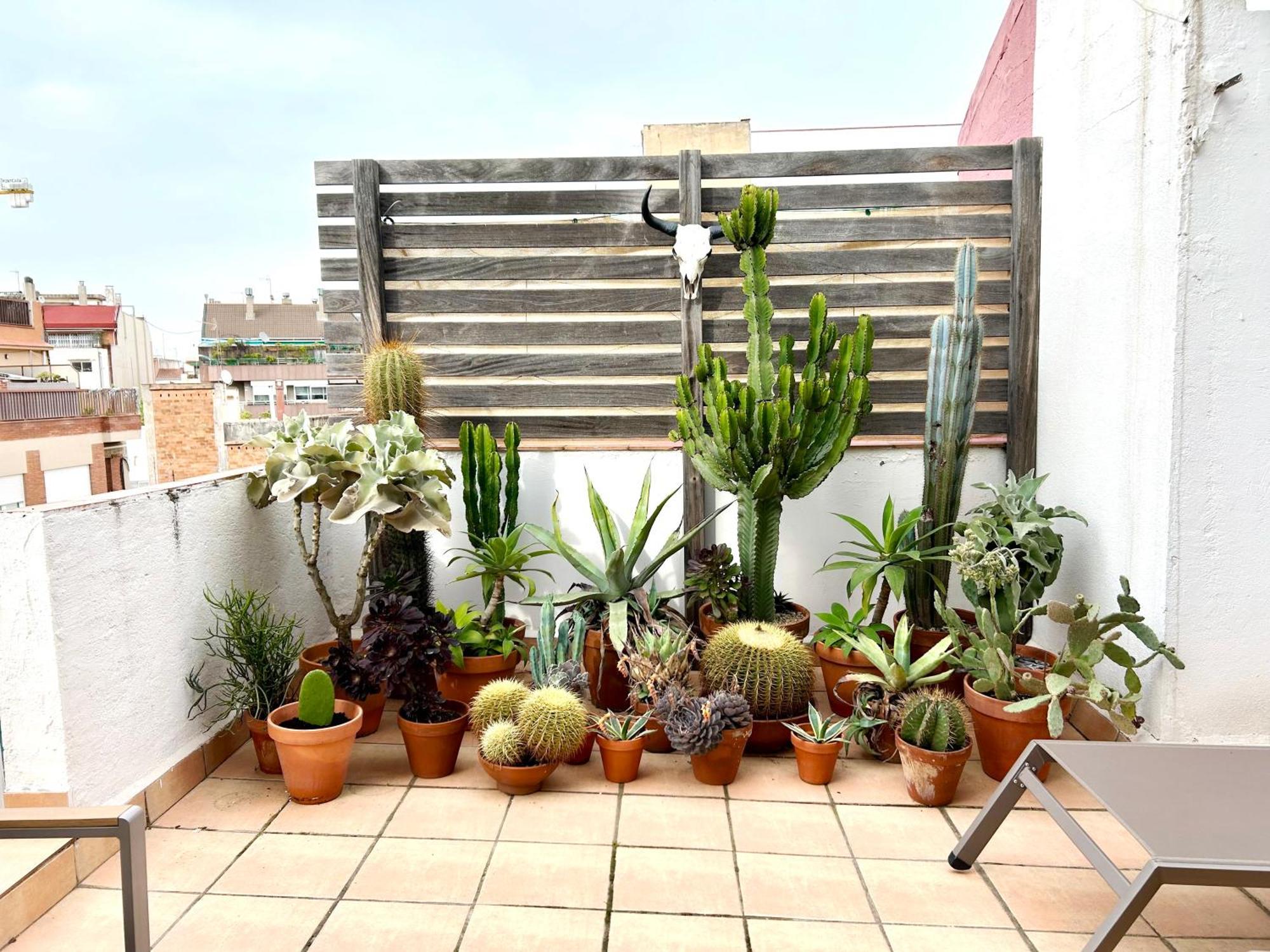 Atic Trobador Appartement