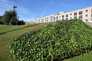 Vila Universitaria Hotel