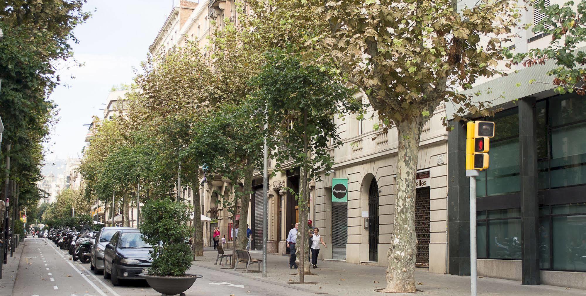 Couette-café Lemar Boutique