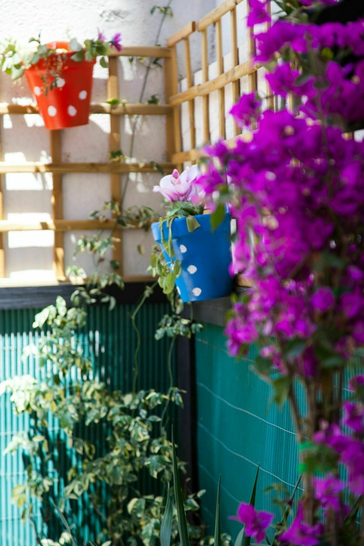 Apartamento Rosellón *