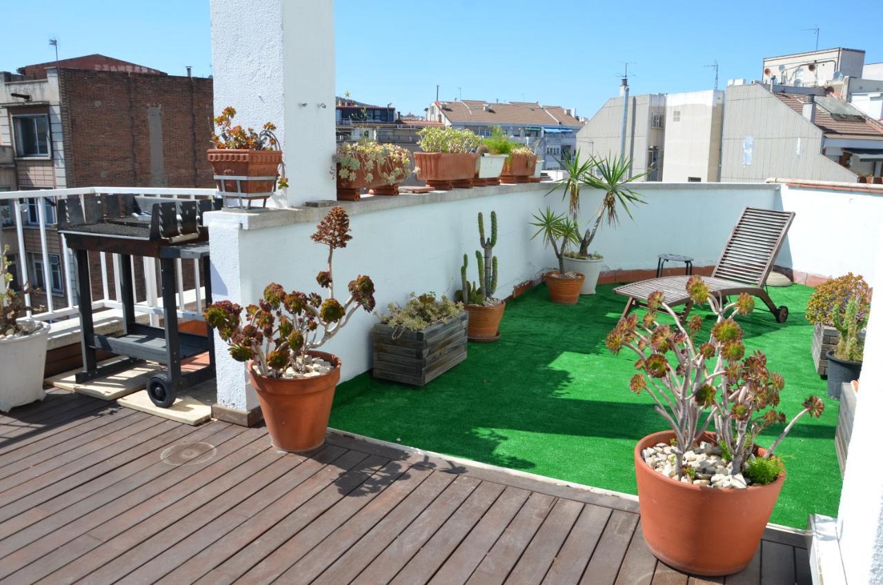Apartment Sunny Terrace