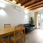 Stylish Typical Bcn Flat