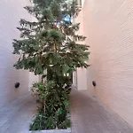 Piso Centro Barcelona Duplex Y Con Gran Terraza