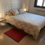 New & Sunny Apartment