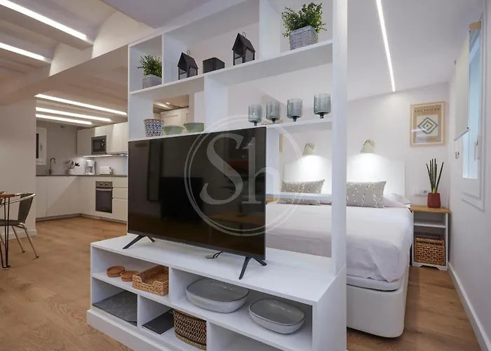 Acogedor Apartamento En El Eixample