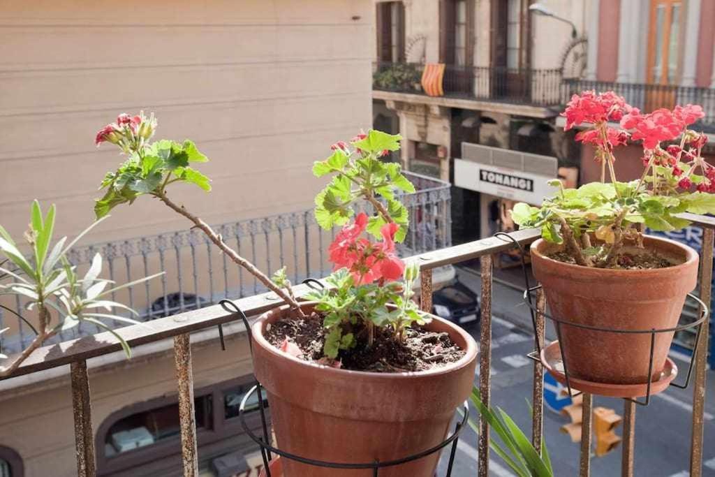 Apartment Centrico Con Terraza En Gracia *