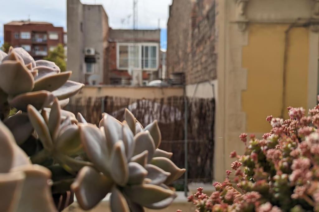Crash'nstay - Casa Barna