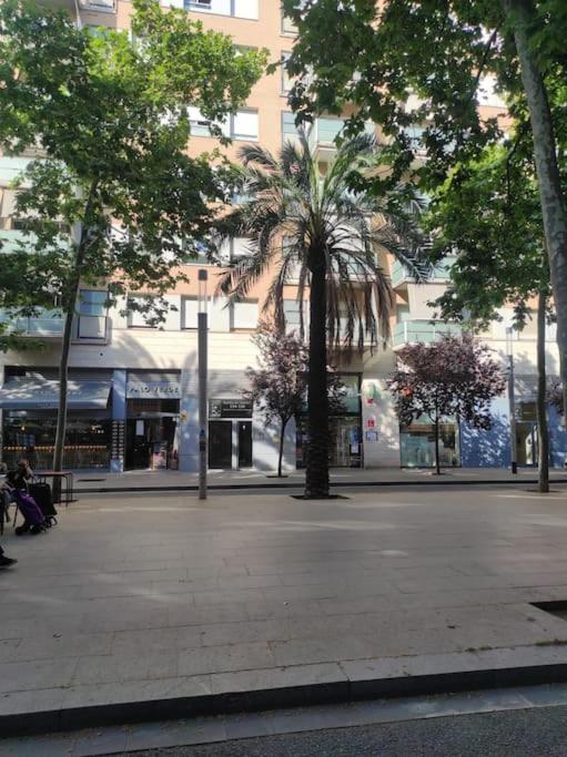 Apartment New! Amazing 2 Bedroom In Rambla Del Poblenou