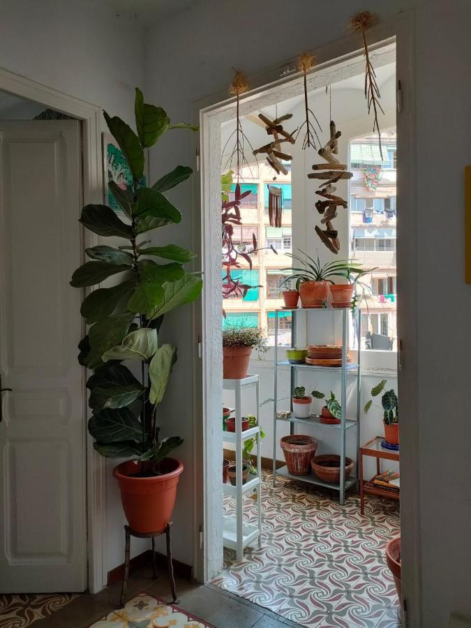 Apartment Pequeno Y Encantador Oasis En *