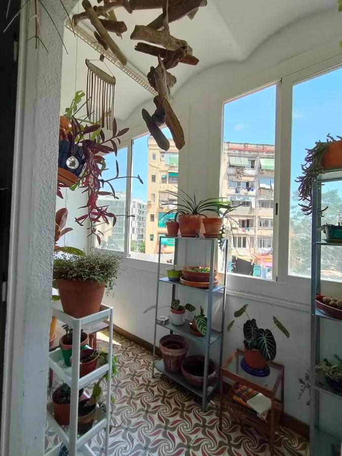 Apartment Pequeno Y Encantador Oasis En Barcelona
