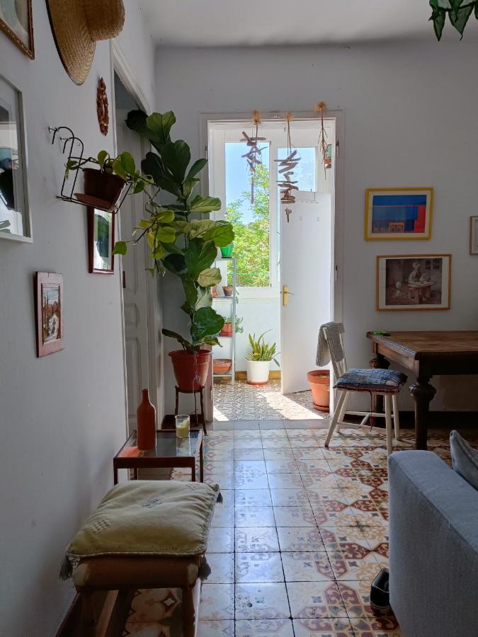 Apartment Pequeno Y Encantador Oasis En *