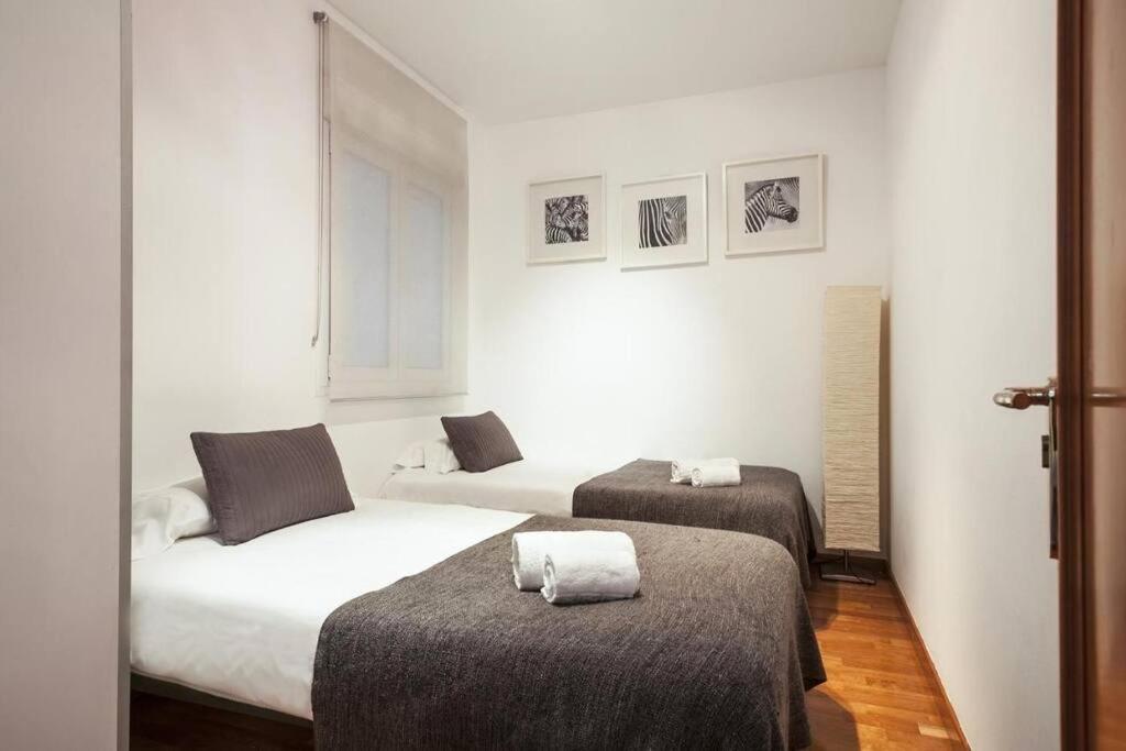 Canela Homes Universitat