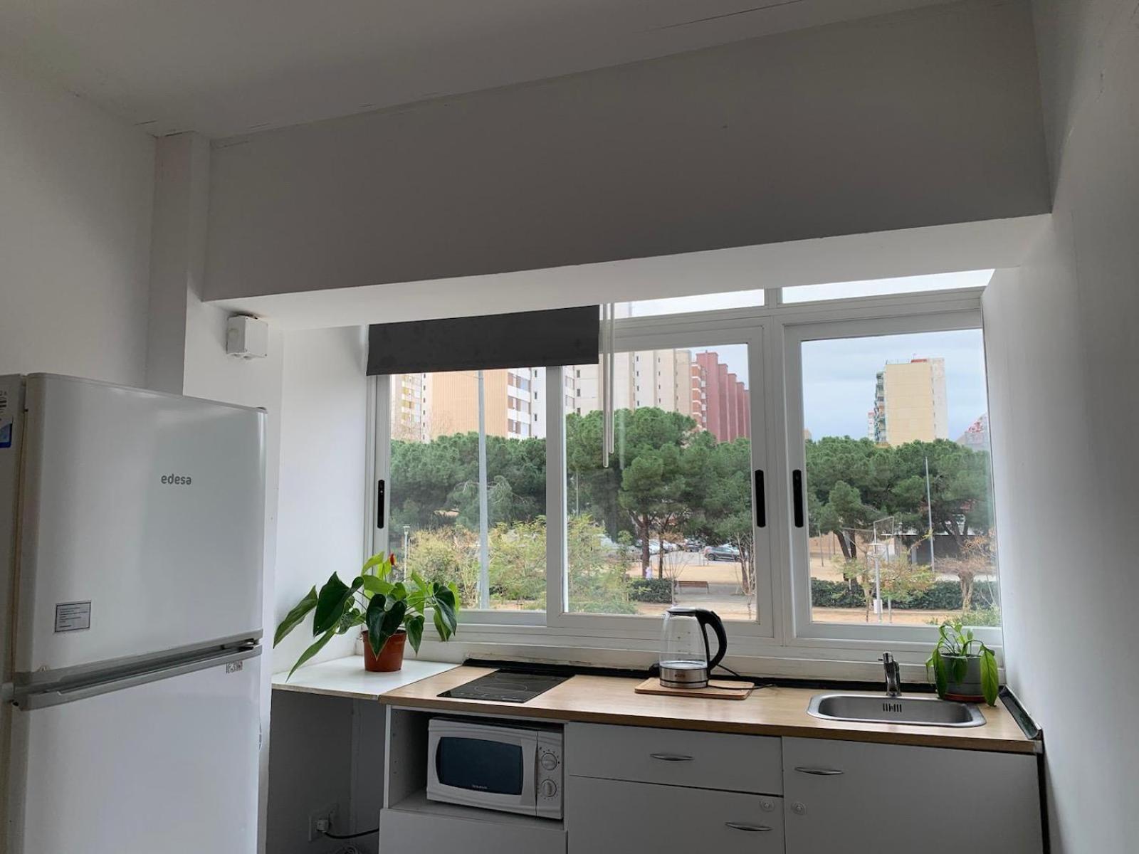 Apartment Loft Sleeper Llum *