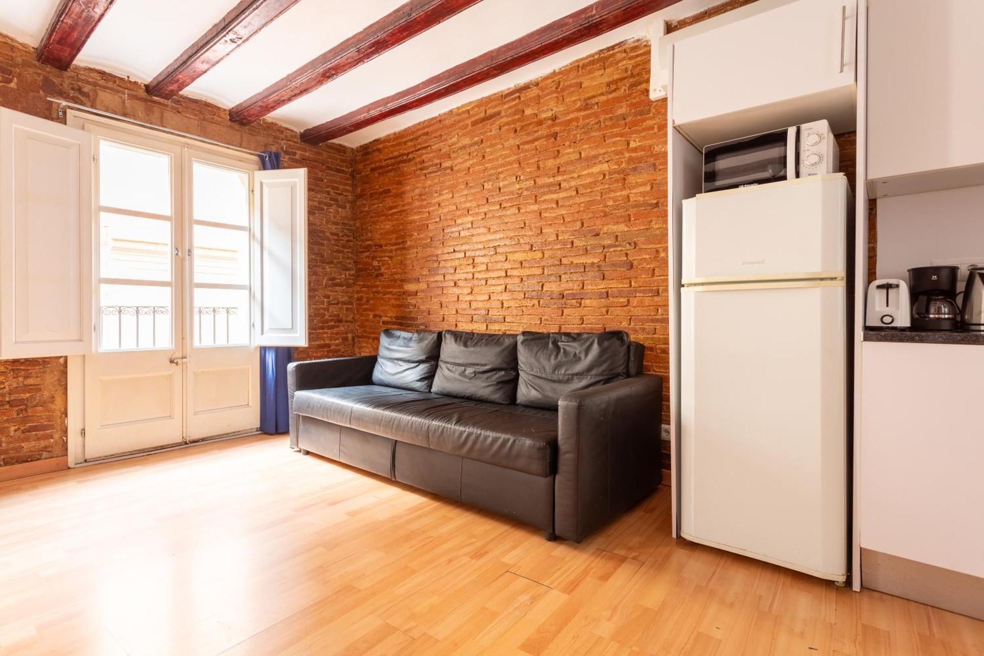 Gothic - Ramblas Apartment