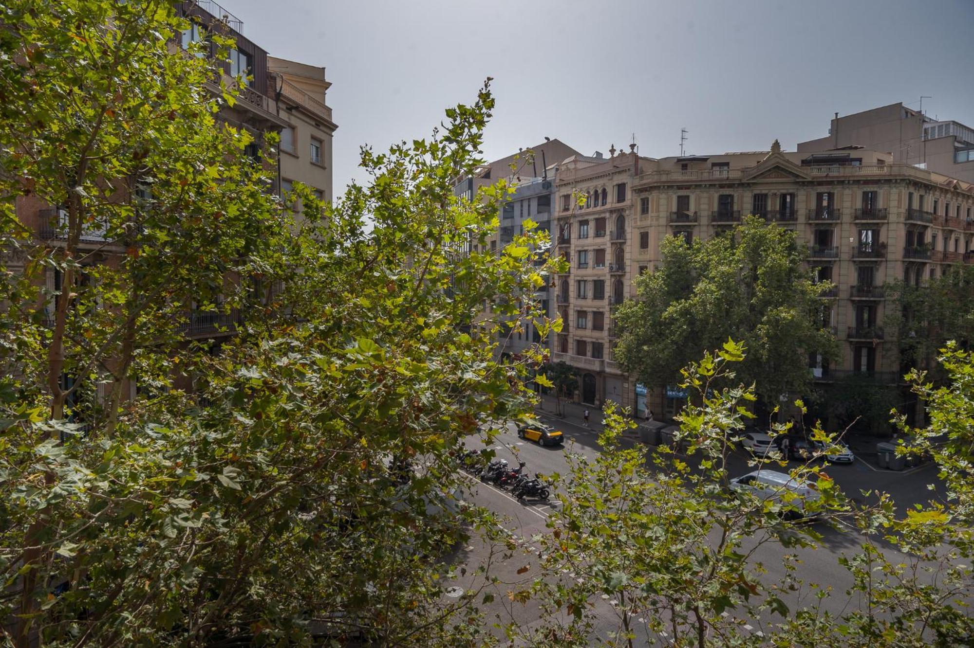 R&b Muntaner Apartment Barcelona
