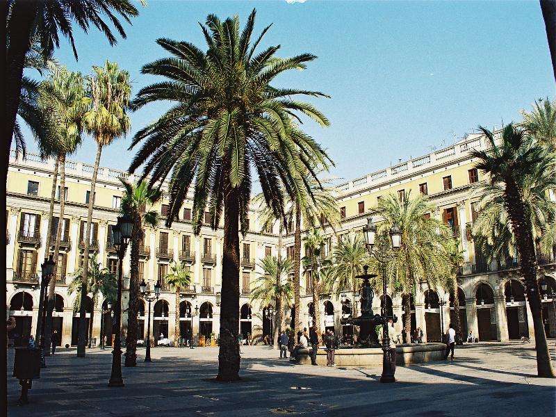 California 3* Barcelona