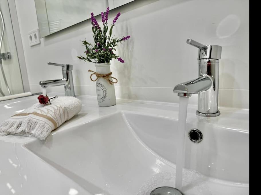 Apartment Sant Antoni Stay: Experience *