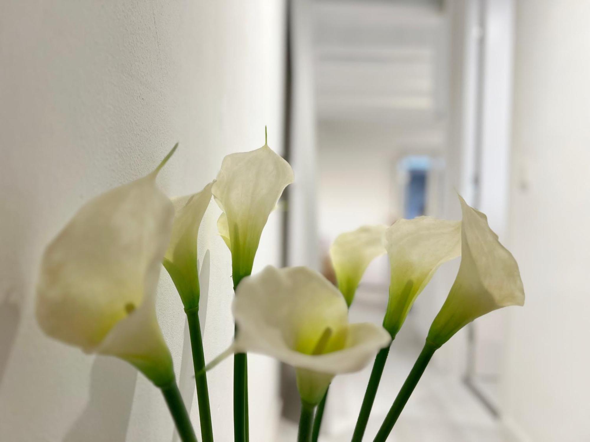 White Appartement