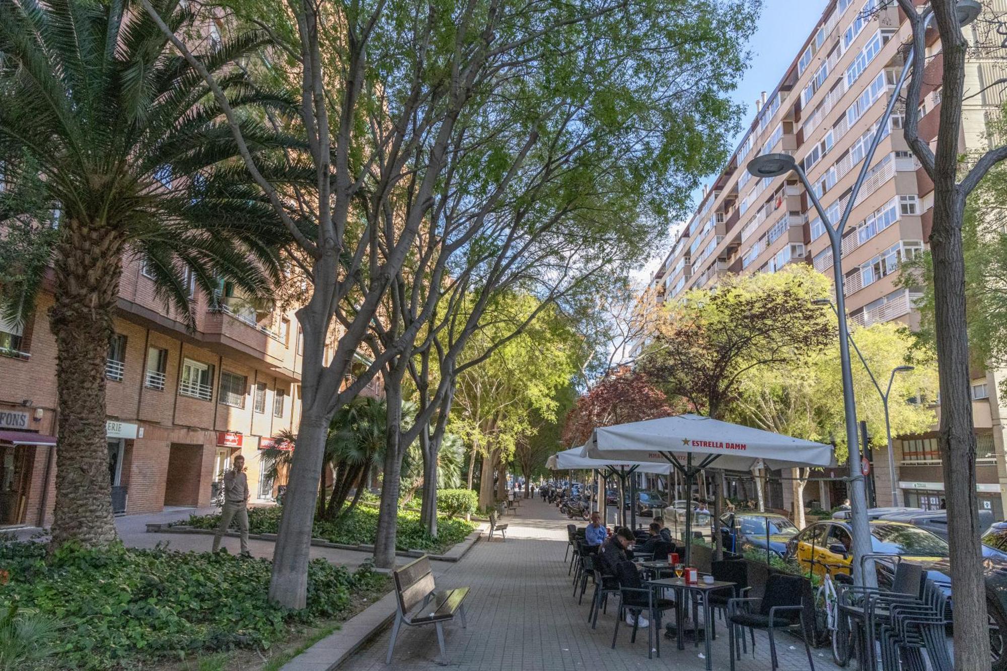 Apartment Maria Cristina Mercader Estrella