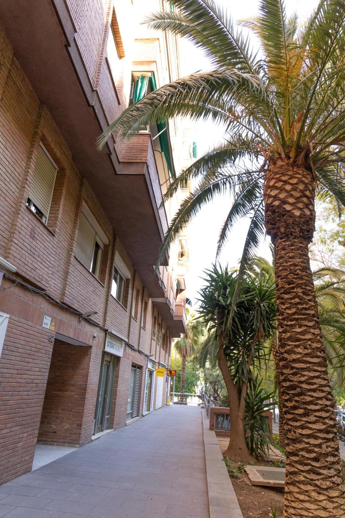 Apartment Maria Cristina Mercader Estrella Barcelona
