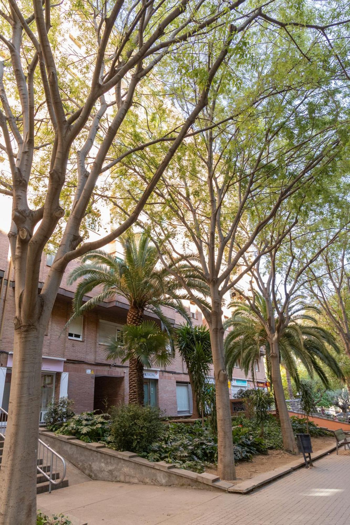 Apartment Maria Cristina Mercader Estrella