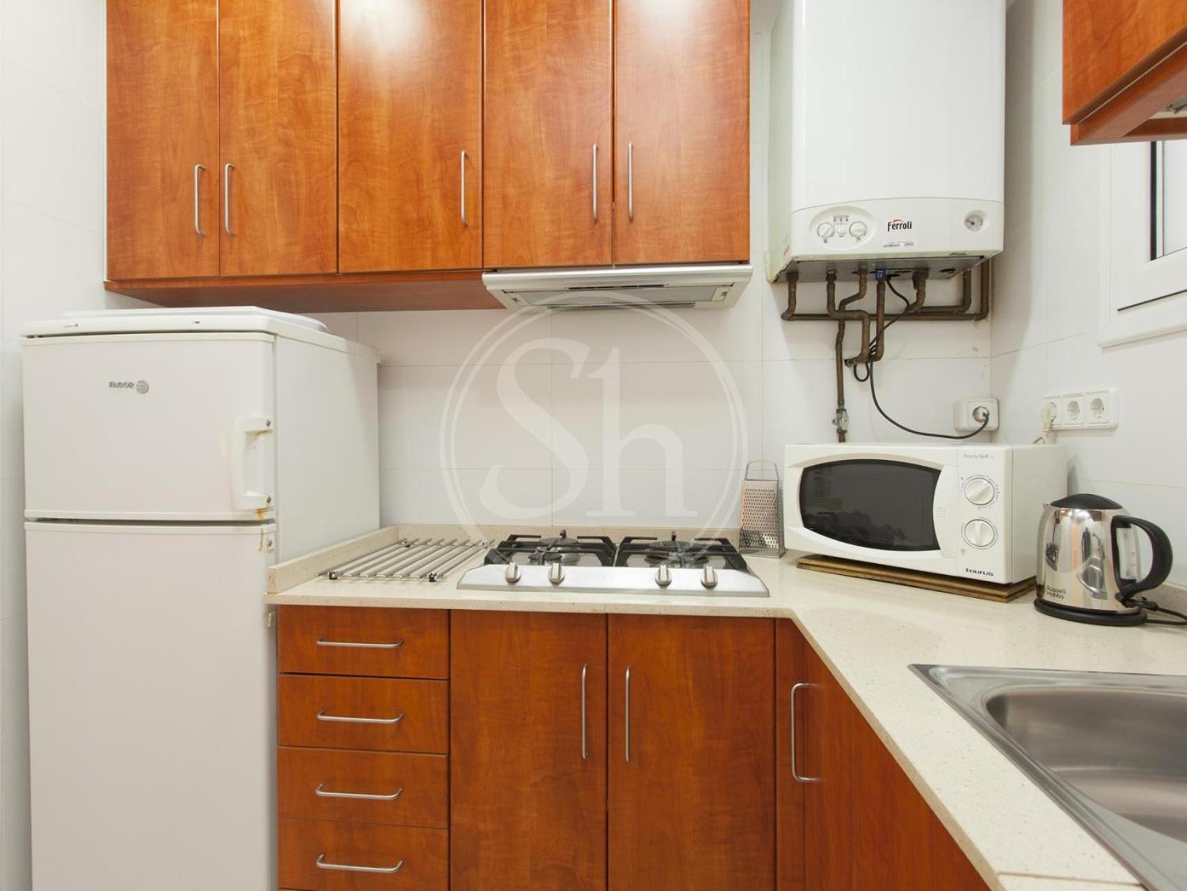 Al Lado De Sagrada Familia Appartement