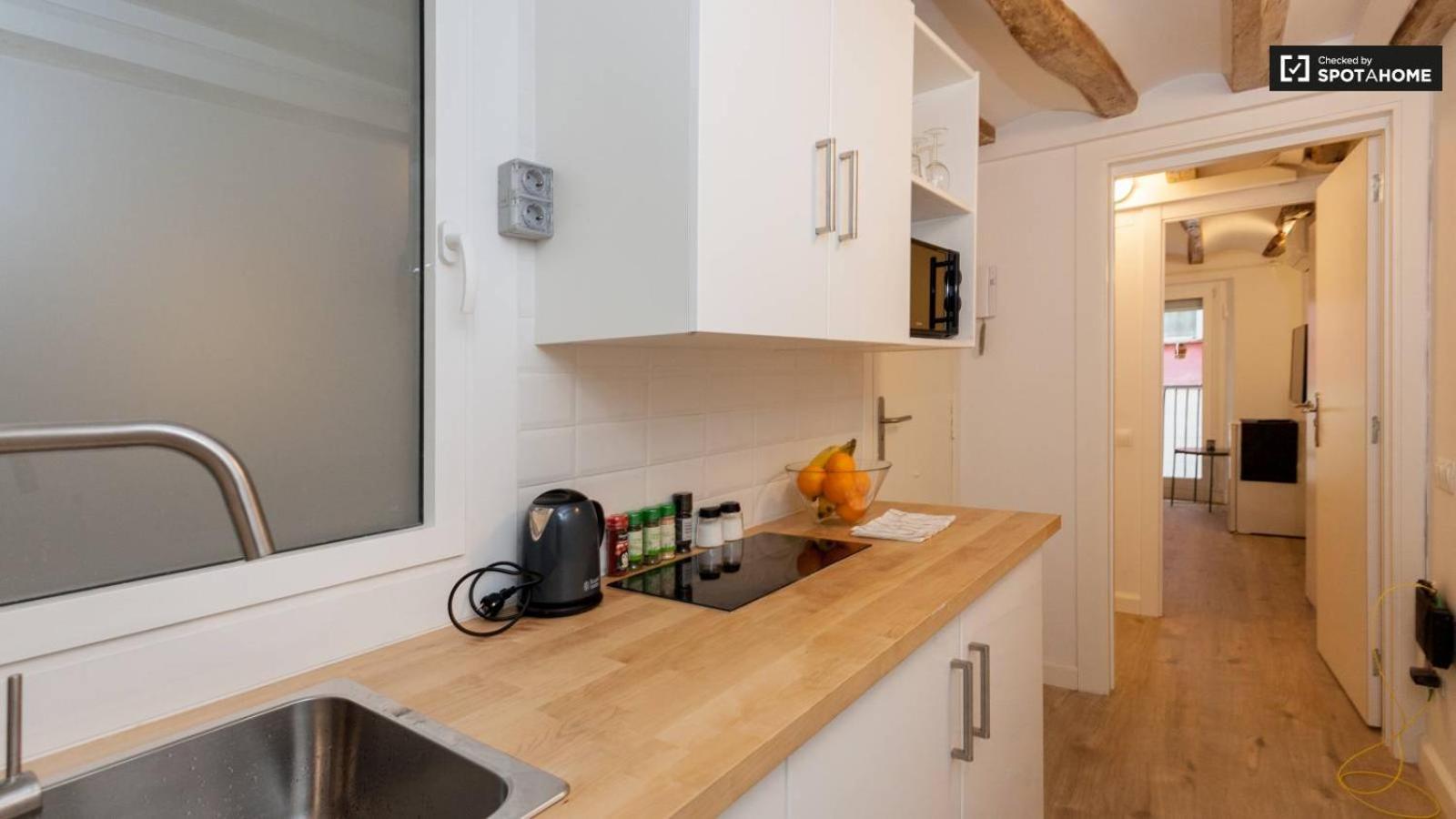 Appartement Ramblas Chic - 03 *