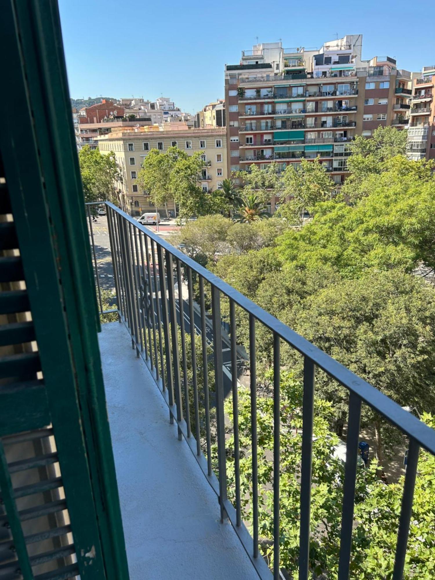Apartment Autentic Monumental *