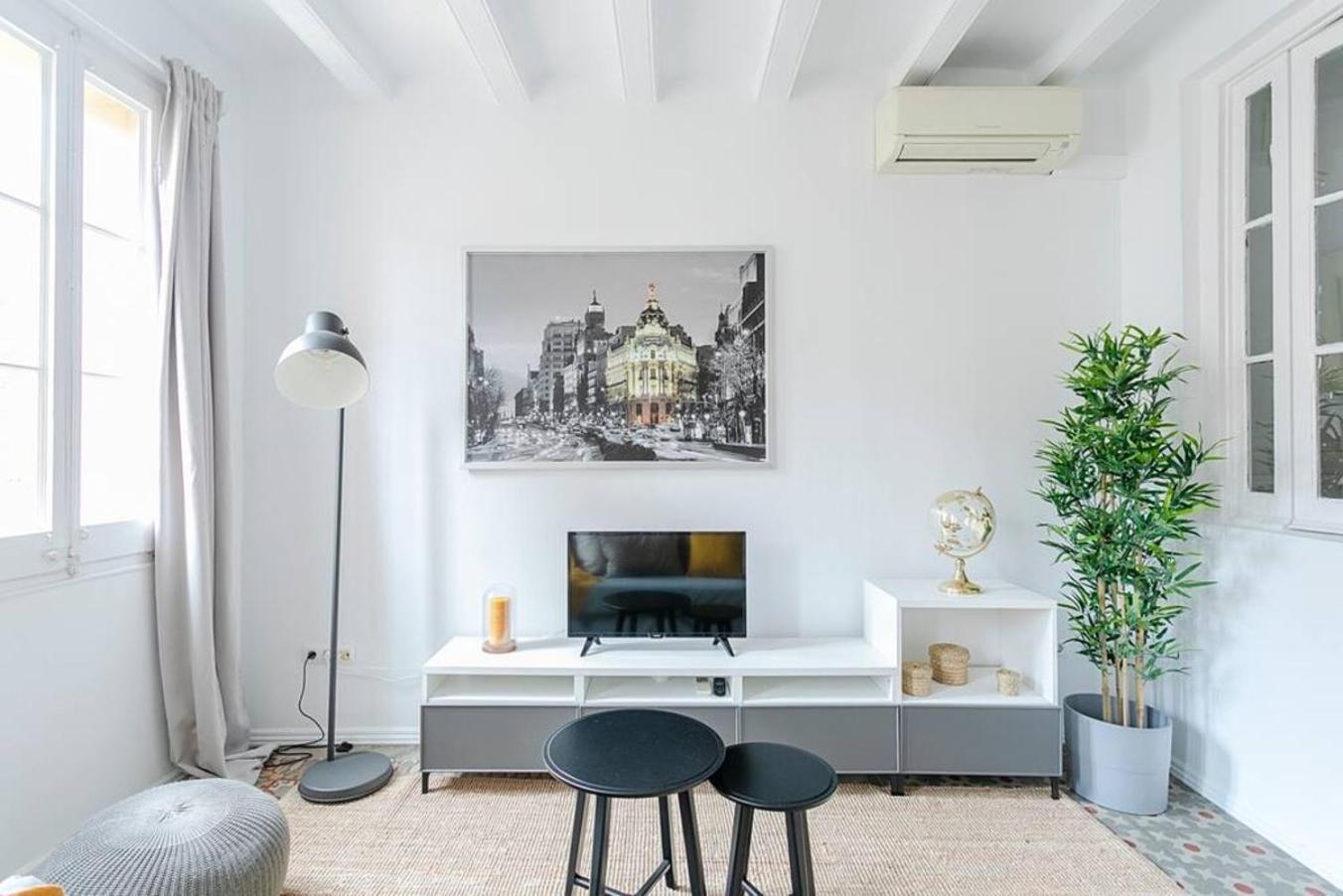 Exquisite&historic Flat With Rooftop