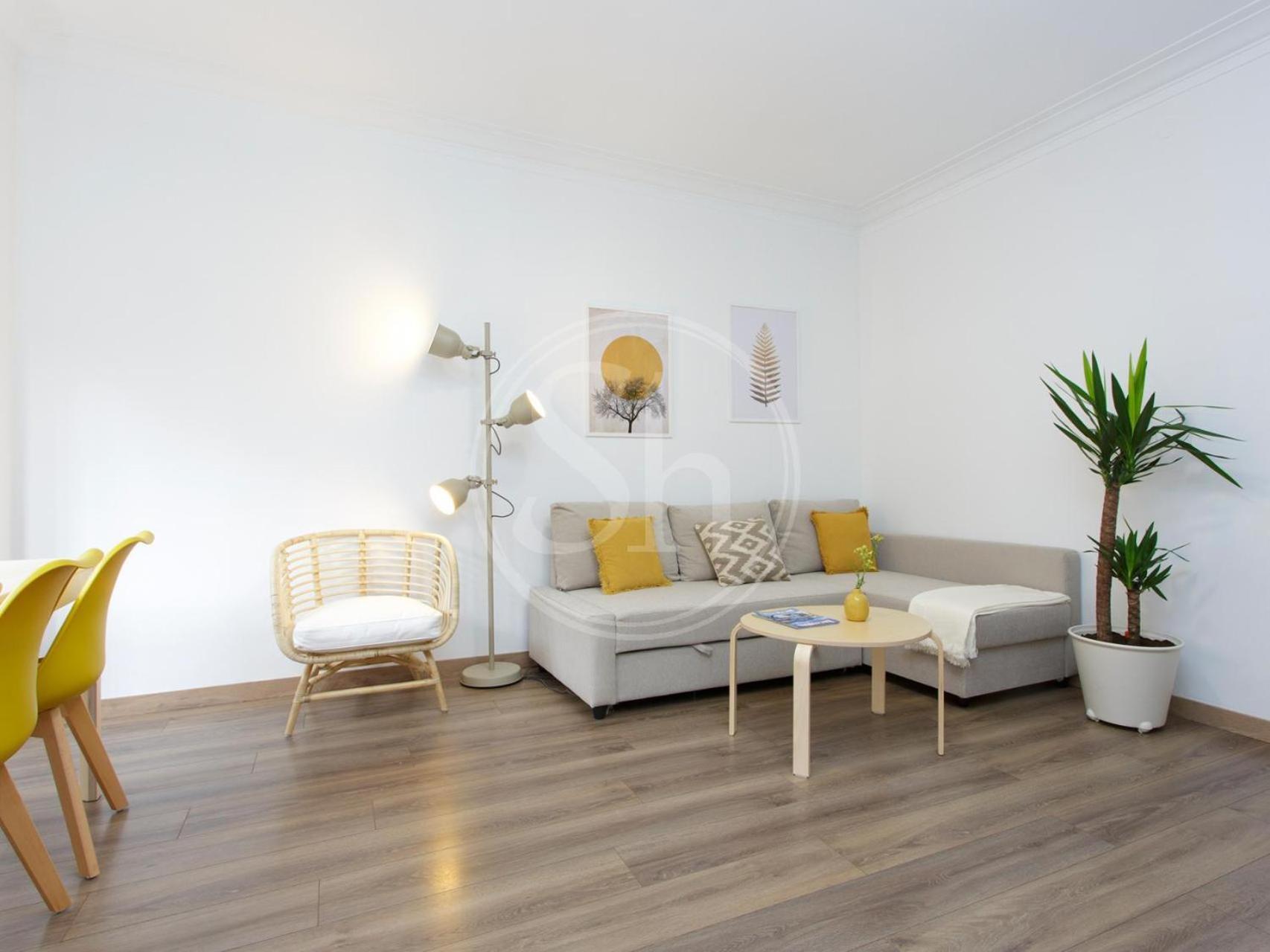 Design Monumental Appartement