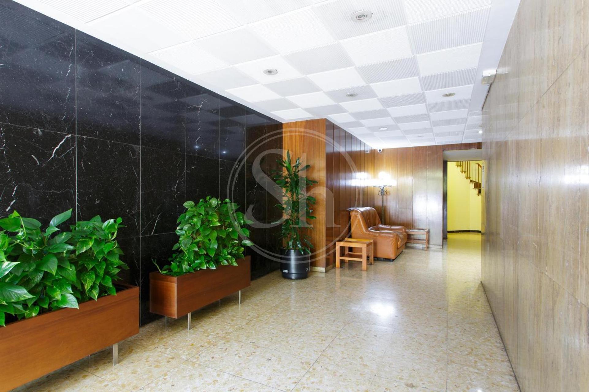 Appartement Amplio En *
