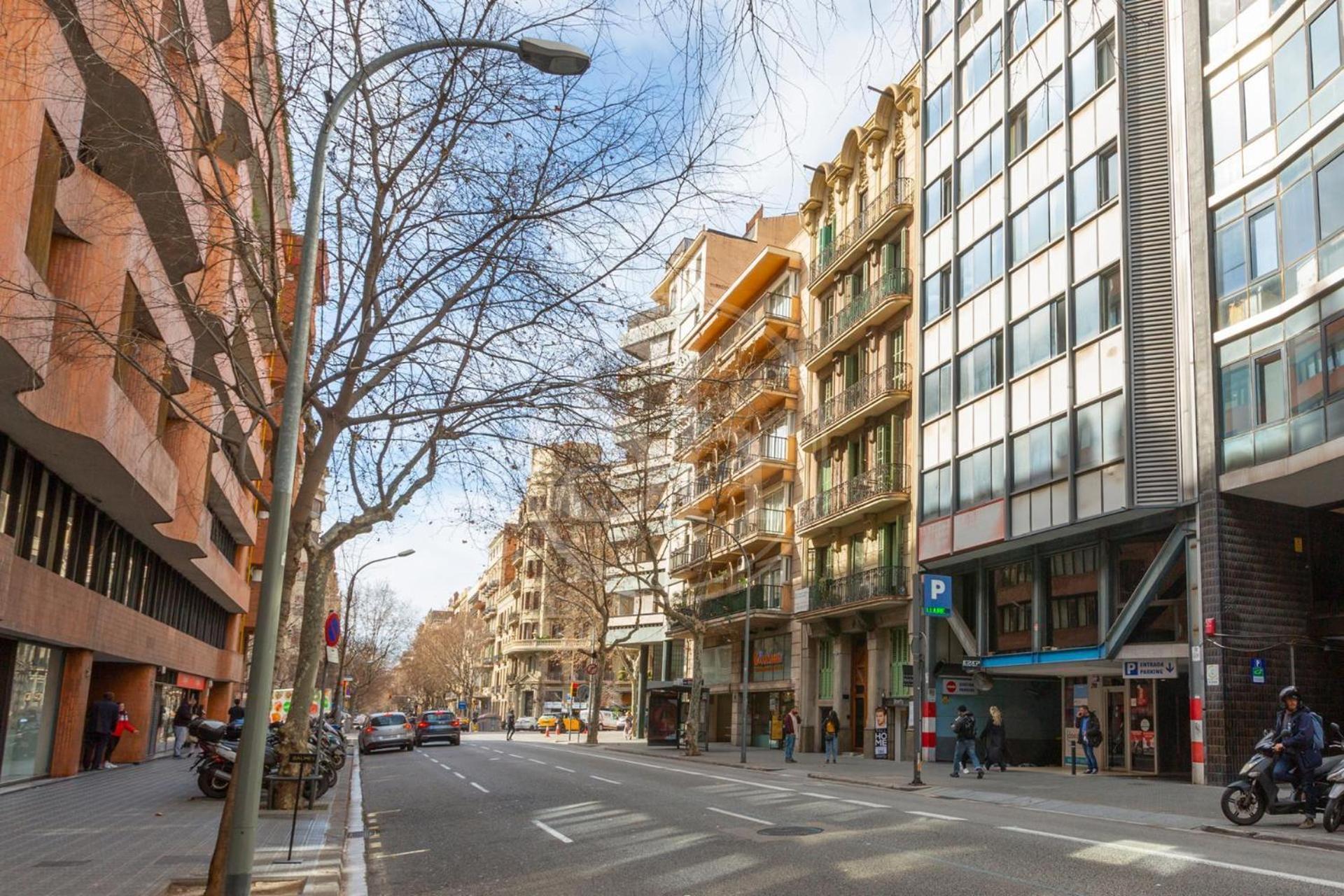 Moderno Y Espacioso En Calle Mallorca Apartment