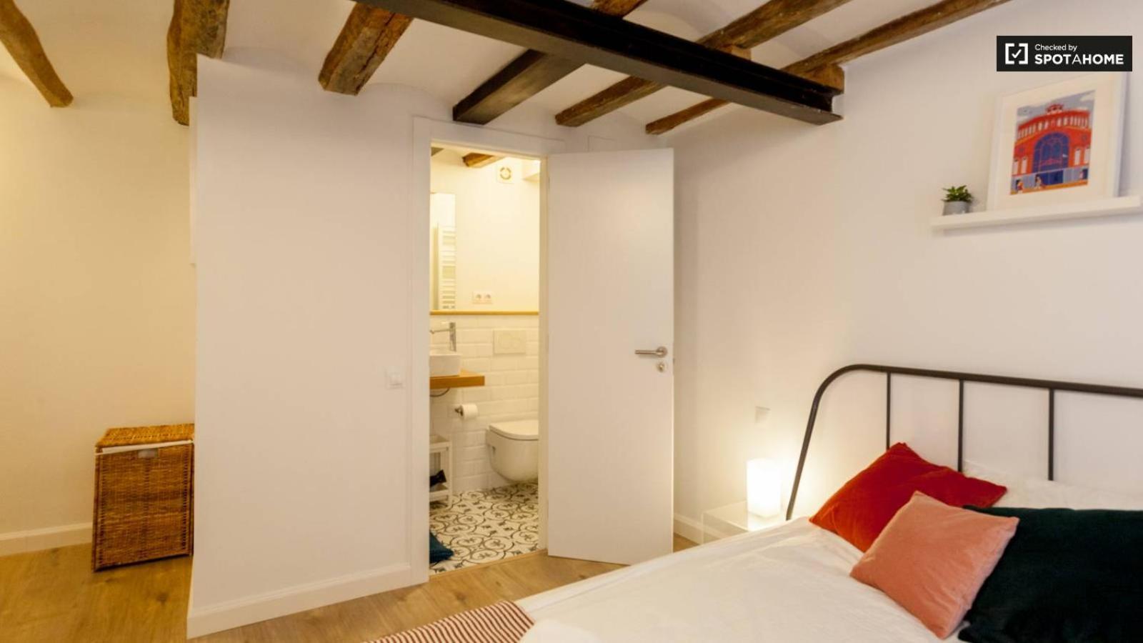 Apartment Ramblas Bcn 02