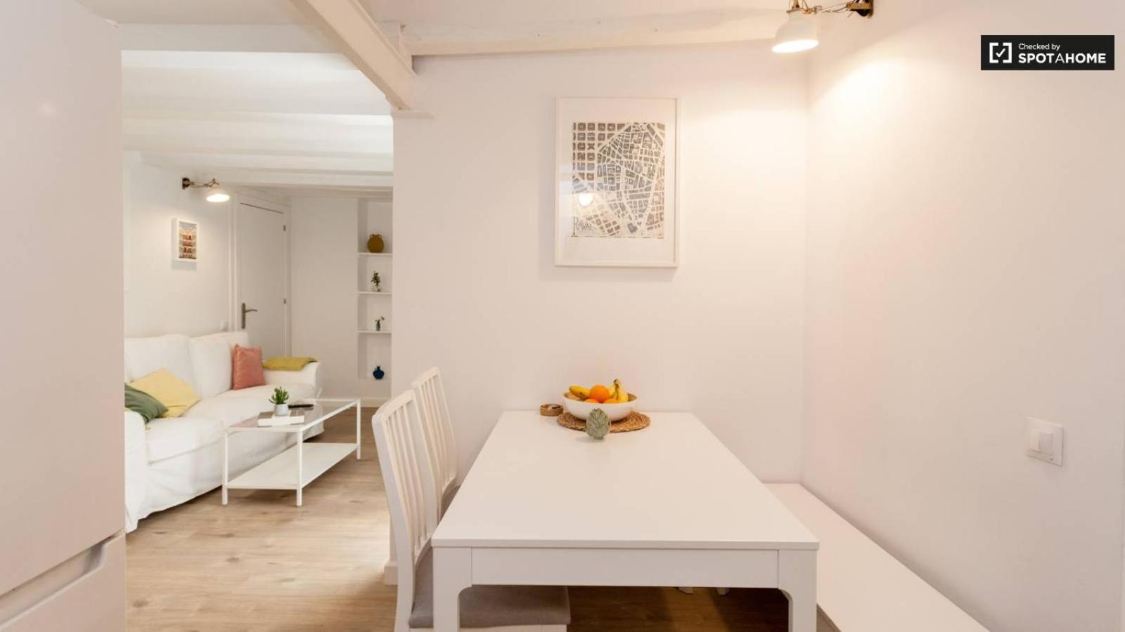 Apartment Ramblas Bcn 02
