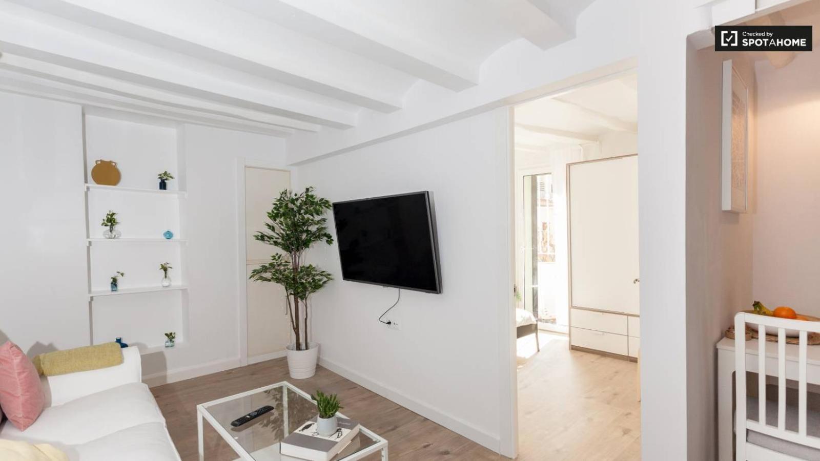 Apartment Ramblas Bcn 02